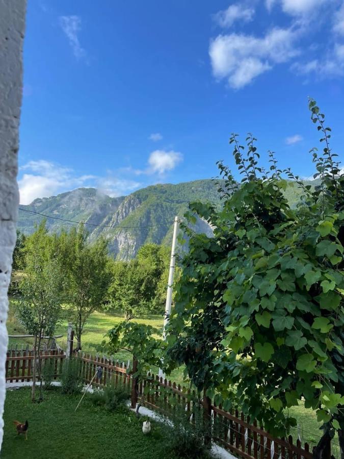 Marash Rrgalla Guesthouse Theth Ngoại thất bức ảnh
